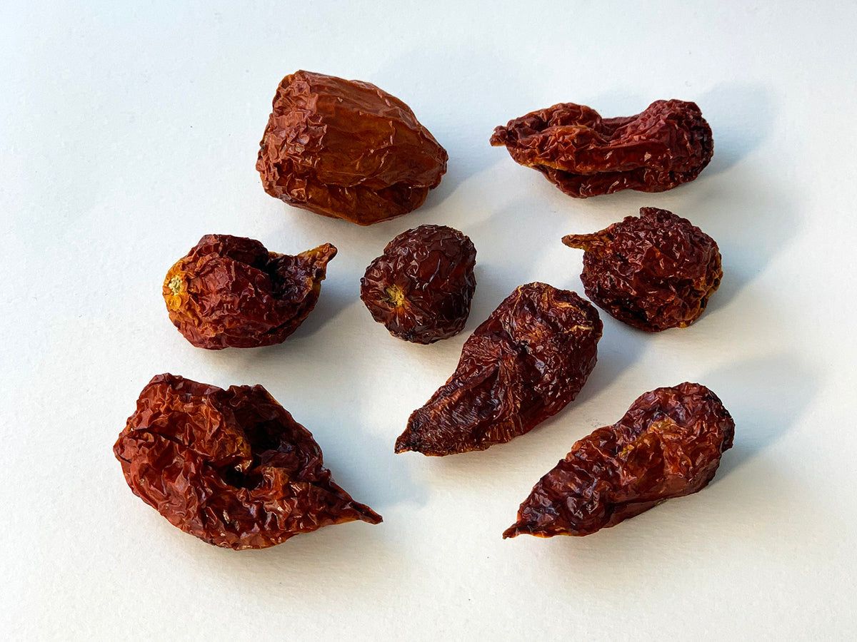 Papryczka chili Trinidad Scorpion cała 10g
